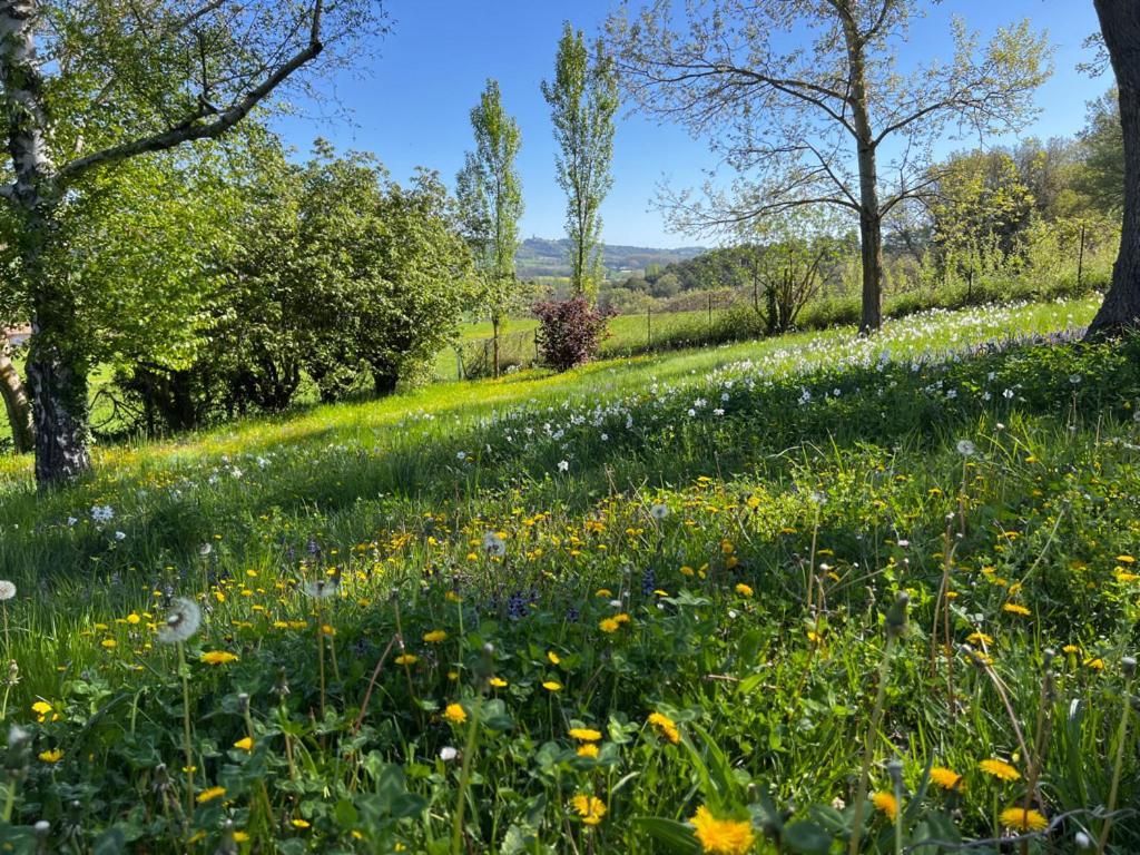 Bergerie Bed & Breakfast Montjustin Exterior photo